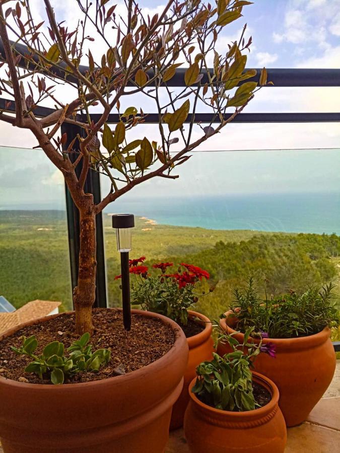 Precioso Atico En La Sierra De Irta Daire Alcossebre Dış mekan fotoğraf